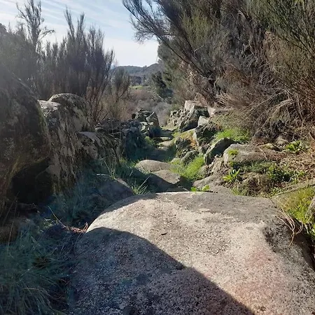 Estrela Da Serra Apartamento