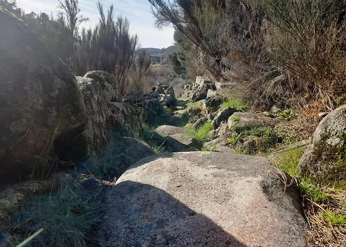 Estrela Da Serra アパート